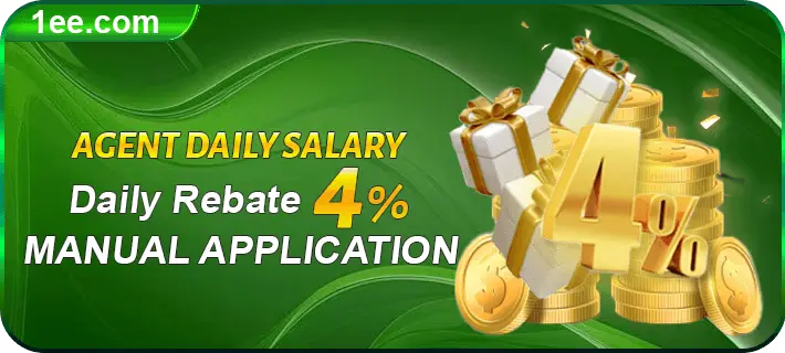 Agcnt daily salary